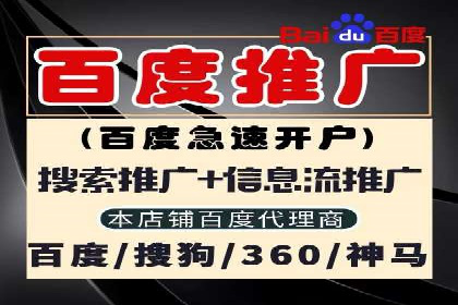 深度解析：百度竞价账户托管的成功秘诀